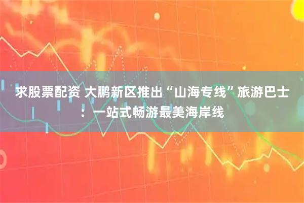 求股票配资 大鹏新区推出“山海专线”旅游巴士：一站式畅游最美海岸线